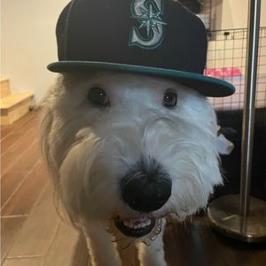 Meet your Posher, Rafael